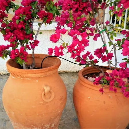 Sol 24 Сasa de vacaciones