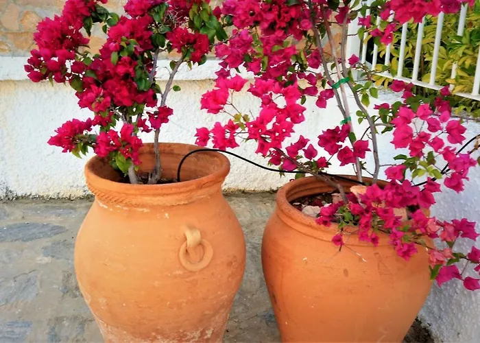 Sol 24 Vakantiehuis